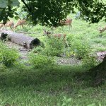 phoca_thumb_m_krteci na hrad 54 Fotogalerie